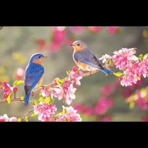 Meet your Posher, Lettie